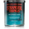 Bath & Body Works Stranger Things The Upside Down tuoksukynttilä 227 g thumbnail 1