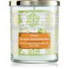 Bath &amp; Body Works Sugared Snickerdoodle tuoksukynttilä 227 g thumbnail 1