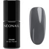NEONAIL Glacial Glow geelikynsilakka sävy Moonstone Miracle 7.2 ml thumbnail 1